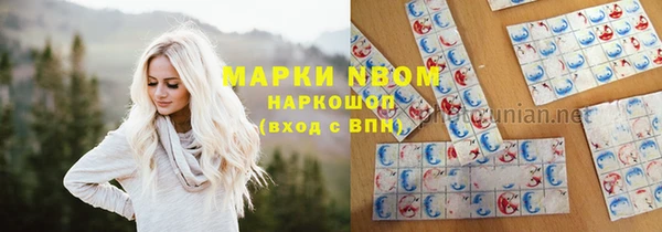 твердый Гусев