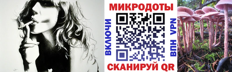 Псилоцибиновые грибы MAGIC MUSHROOMS  MEGA зеркало  Горняк  где купить наркотик 